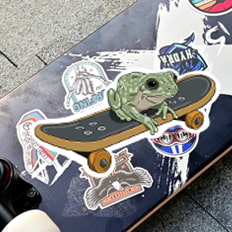 skate stickers