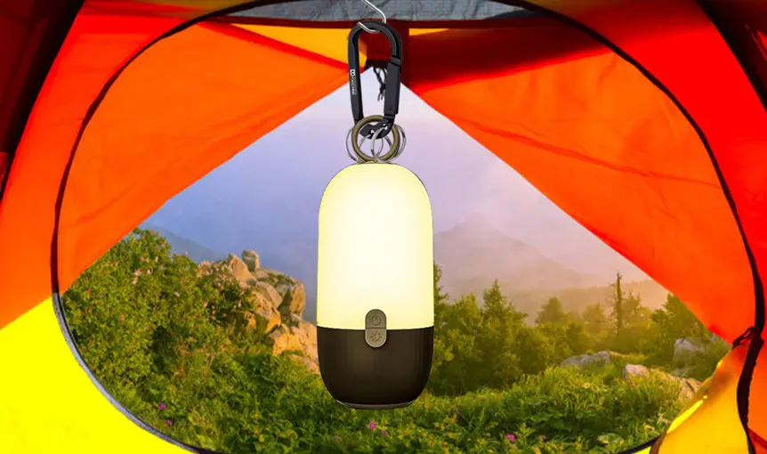 Metal Keychains with Carabiner