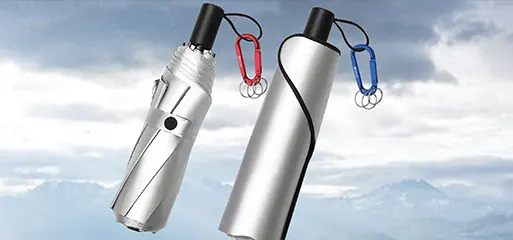 key chain carabiner v2 pc