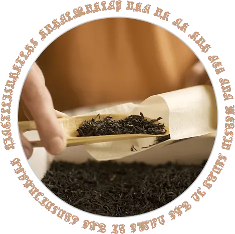 Sustainable Packaging