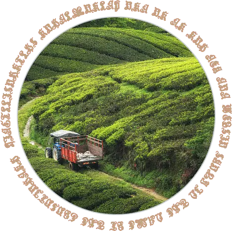 Sustainable Transport