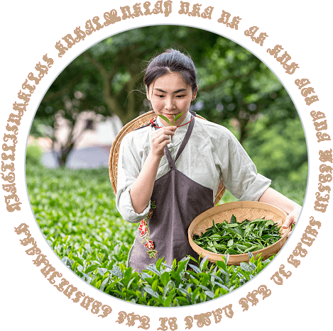 Sustainable Cultivation