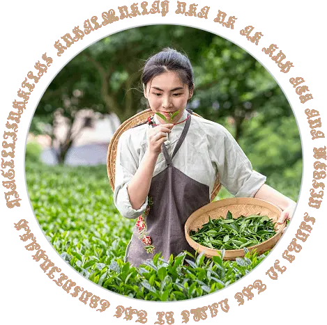 Sustainable Cultivation