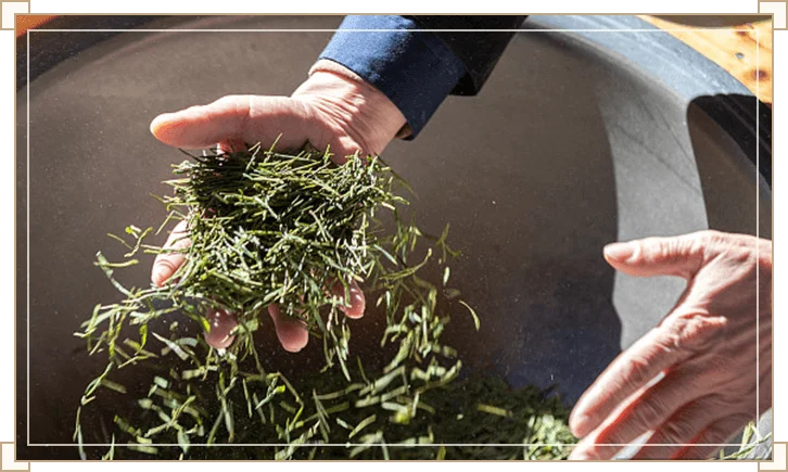 sustainable development of Chinese tea