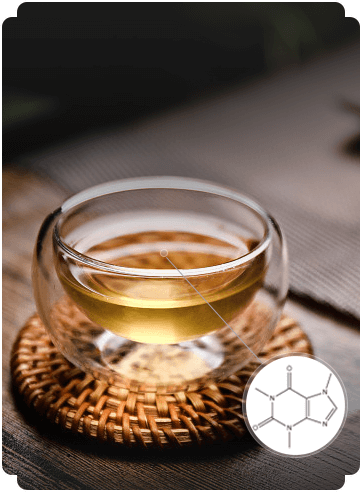 caffeine in fermented Chinese tea