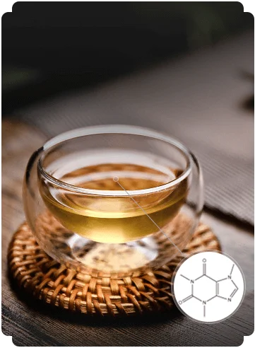 caffeine in fermented Chinese tea