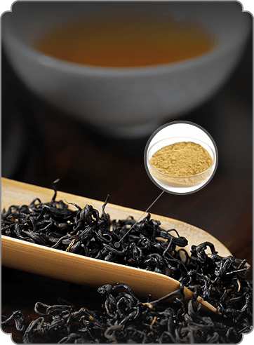 tea polyphenols in fermented Chinese tea