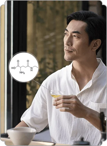 theanine in fermented Chinese tea