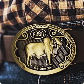 belt buckle