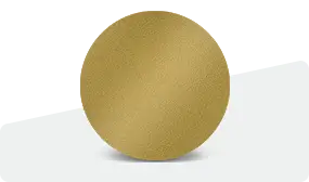 Standard Back Standard Back