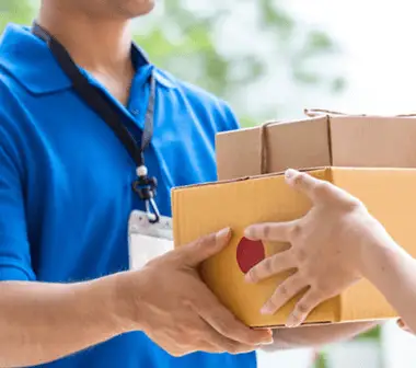 Professional Experience